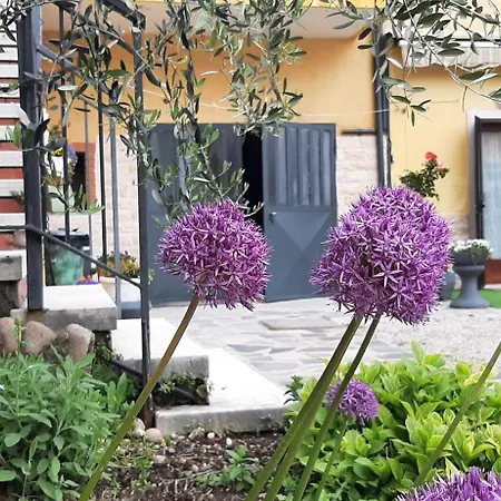 Apartman Al Borgo Sul Garda Via Pertica 8a *